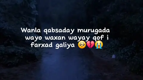 farxad galiya#fyp #qoraal #yeelko #fyppppppppppppppppppppppp #foryoupage #soomaali_tiktok🇸🇴🇸🇴 