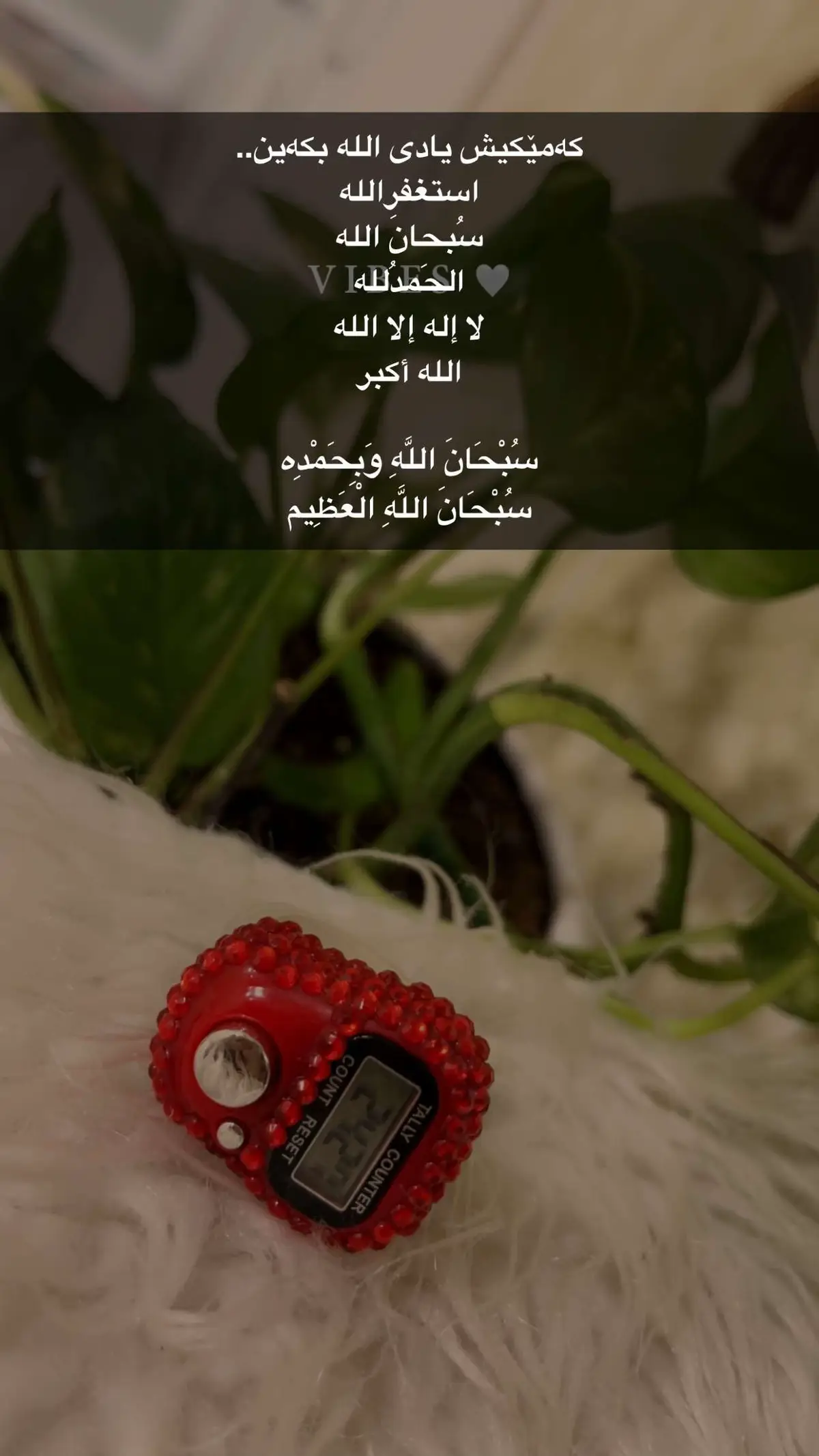 #الااله_الا_الله کۆتا وشمان بێ یارەب🥺🤲