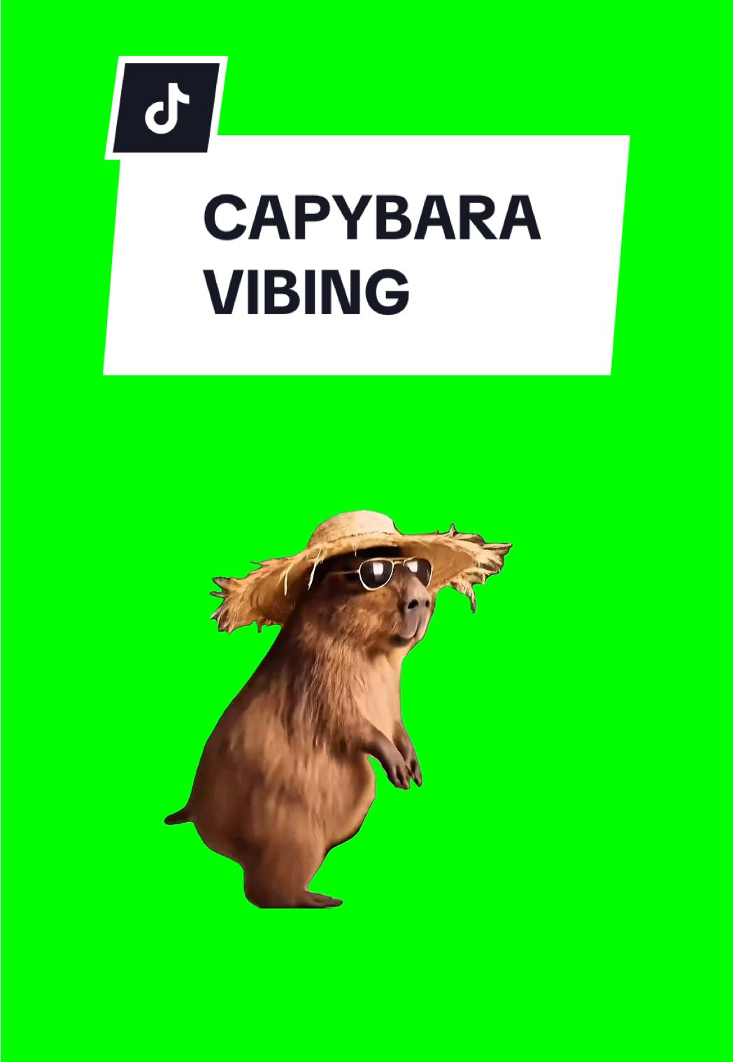 #CapCut CAPYBARA VIBING #greenscreen #greenscreenvideo #greenscreenoverlays #fyp #fypシ #fyppage #fypシ❤️💞❤️ #meme #memes #memestagram #freefirememe #memepage #viral #viralvideos #viralreels #viralvideo #viralpost #sillybaloo #trend #trendy #trending #trendingreels #baloosilly #trendingtiktok #capybara 