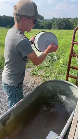 I think they did a fine job getting that trough moved.#farmfamily #farmkids#farmer#cattle#water#farmlife#theellisherd