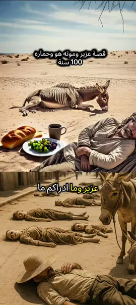 قصة عزير وموته هو وحماره 100 سنة ثم احياه الله  #إعادة_النشر🔄  #قران #قران_كريم #قصص_الانبياء #قصص_الصحابة 