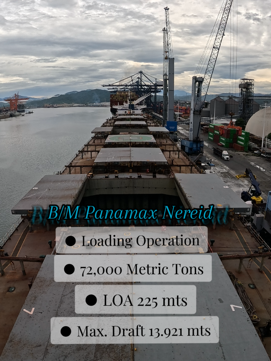 #ship #vessel #bulkcarrier #marinamercante #manzanillo #panamaxnereid #seafarer #seafearerslife  Panamax Nereid: Buque granelero en operaciones de carga, transportando 72,000 toneladas de mineral de hierro, con una eslora total de 225 mts y un calado de máxima carga de 13.921 mts.