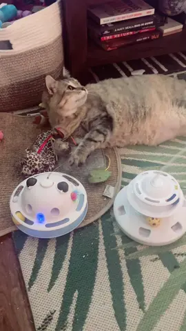 #gen❌ #genx #jesusisthewaythetruthandthelife #catsoftiktok 