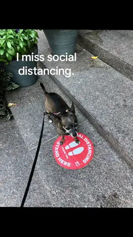 #2020 #fyp #socialdistancing 