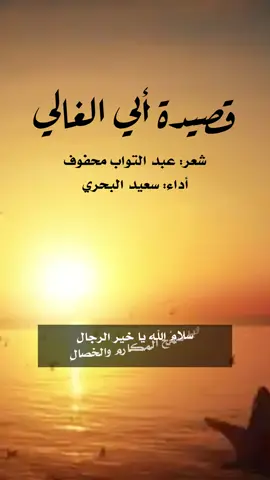 #أبي_الغالي #شعر #عبدالتواب_محفوف #سعيد_البحري #اكسبلورexplore 