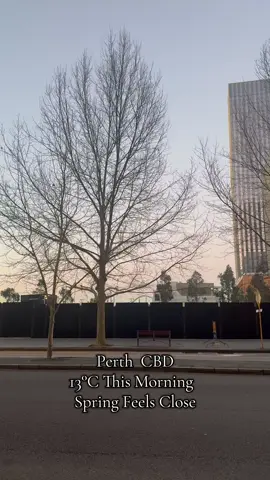 13°C in Perth. Spring feels close now. #perthlife #springincoming #reelsviralシ #gentlewinter #perthstreets #australiareels 