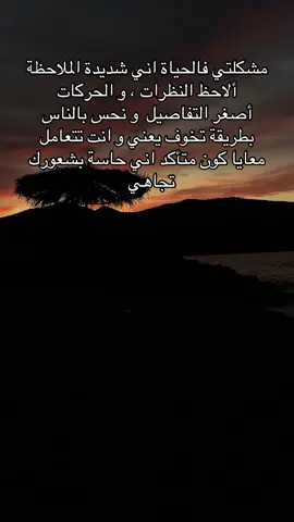 #fly #flypシ #🇩🇿 #dz #algeria #🇩🇿🇲🇦🇹🇳 #skikda #skikda_21_tik_tok 