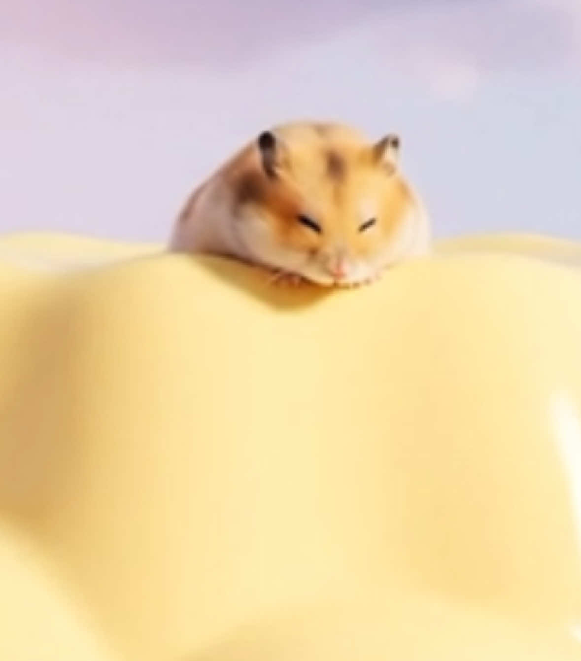 プリンから落ちたら…🍮🐹🪐　#aiasmr #hamster #ハムスター 
