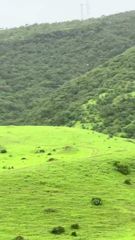 #salalah #oman #foryou #fyp 