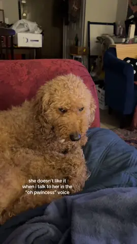 she said: >:|