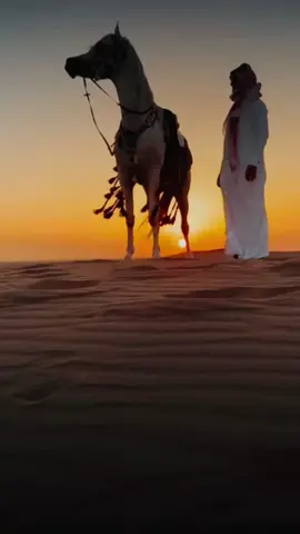 #أكسبلور_شعر_حكم_خواطر 