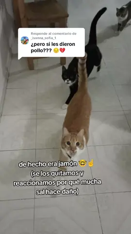 Respuesta a @_ivanna_sofia_1 