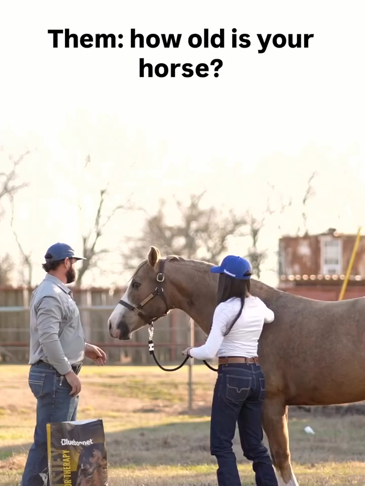 She’s 20. Not broken. And definitely not for sale. Bluebonnet® Intensify® Senior Therapy keeps your seniors going strong—and we’re just getting started. 💪🐴 #SeniorHorseStrong #BluebonnetFeeds #NotRetired #NotForSale #ThrivingNotSurviving