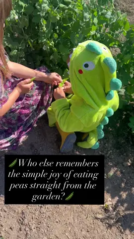 These tiny green gems remind me of my childhood. Those were the days and still are.🥰#kids #childhood #garden #peas #acreagelife #memories 