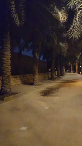 المسار الرياضي...  وادي حنيفة..  فعليا ( نحن احيانا نستحق ما يحصل لنا ) من ليالي الرياض الصيفية الجميلة...  #المسار_الرياضي #Riyadh #الرياض #بين_الرياض #السعودية #وادي_حنيفة #وادي_اوبير 