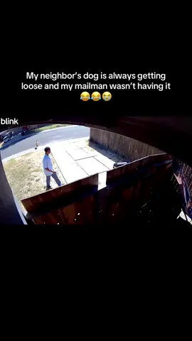 #foryoupage #mailman #dogsoftiktock