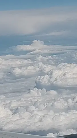 #creatorsearchinsights #clouds #skyline #sky 
