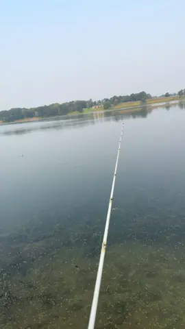 #fishingedit #prowlinforpigs #largemouthbass #bowfin 