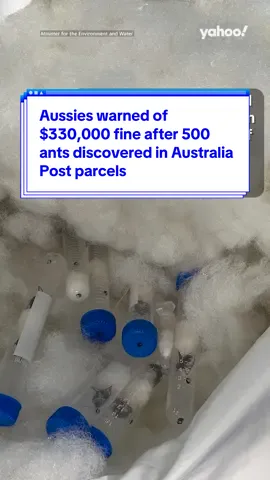 Aussies warned of $330,000 fine after 500 #ants discovered in #AustraliaPost parcels 🐜 #auspost #yahoonews #yahooaustralia 