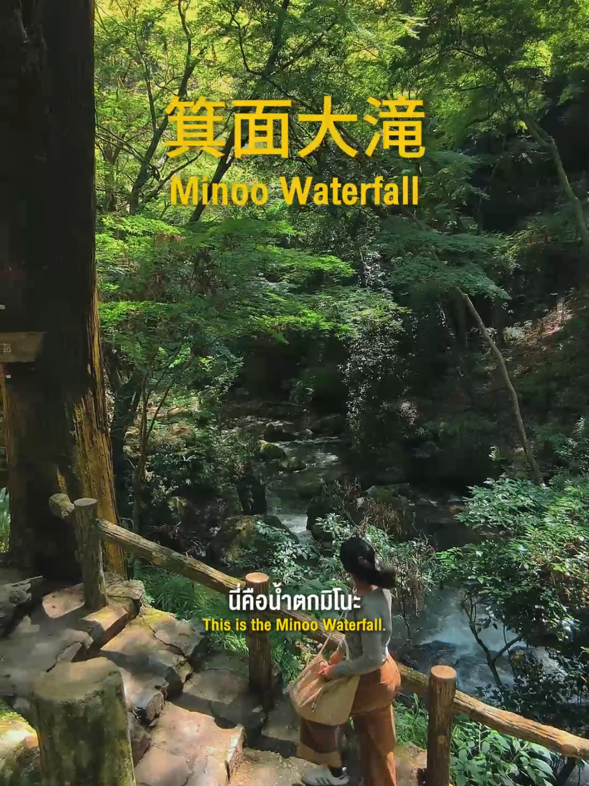 A heaven on earth so beautiful it feels like another world is waiting for you... at Minoo Falls in Osaka! . สวรรค์บนดินที่สวยจนเหมือนหลุดไปอีกโลกกำลังรอคุณอยู่… ที่ น้ำตก Minoo! Osaka  #tiktoktravel #เที่ยวทั้งปี365d #เที่ยวญี่ปุ่น #รีวิวญี่ปุ่น #โอซาก้า #osaka #น้ำตกminoo #MinooPark #โมมิจิเทมปุระ #เที่ยวธรรมชาติ #ญี่ปุ่น2025 