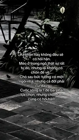 Kết hôn hay không đều sẽ có hối hận...#xuhuong #foryou #tamtrang #giadinh 