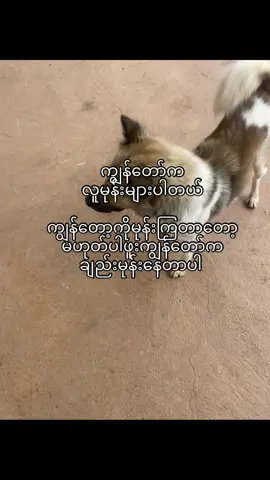 soutချိုးမပြေတာတွေ့ရင်မျက်စိဆံပင်မွှေးဆူးပီး”မုန်း”လာရော#fyp #foryou #views #fypシ゚ #viral #foryoupage #viralvideo #fypviral 