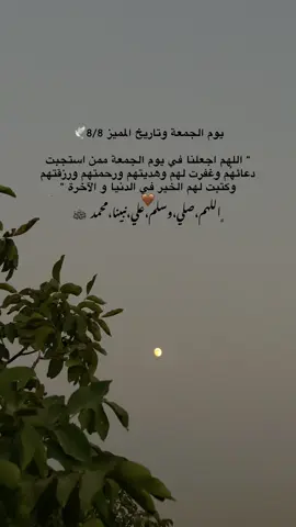 🤎🕊️…صباح الخير 