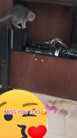 #🇶🇦 