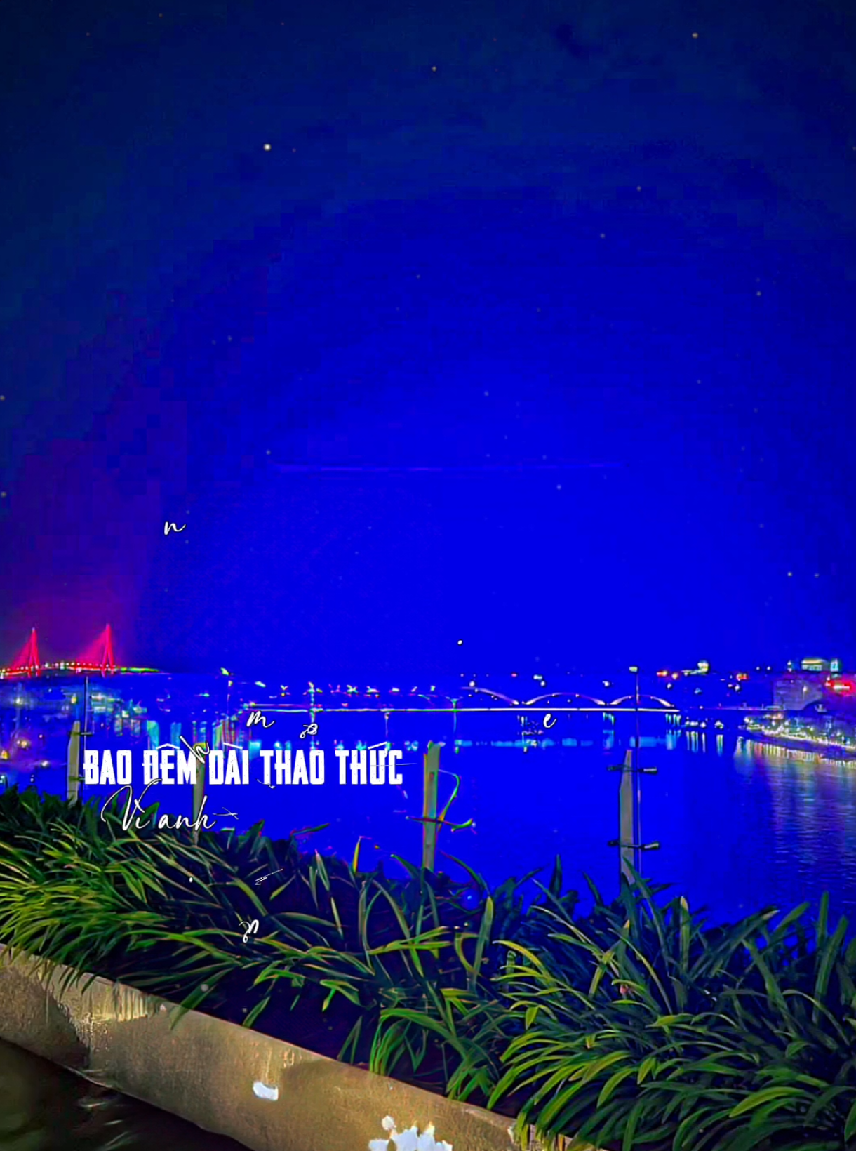 Bao đêm dài thao thức #nhachaymoingay #nhactamtrang #xuhuong2025 #foryou #fyp 