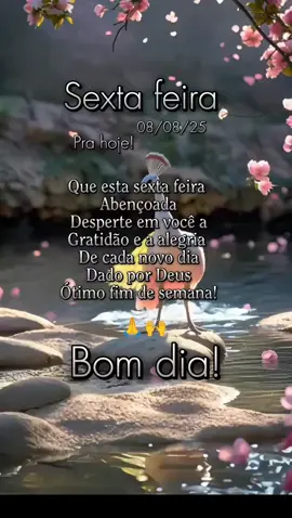 #bomdiacomdeus #mensagemdebomdia #bomdiaabençoado #dia #felizdia #bomdia #sextou 
