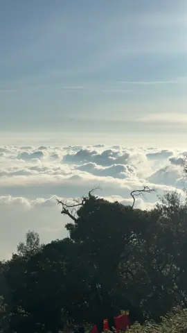 Lautan awan di lembah lengkehan  #arjuno #arjunowelirang #lembahlengkehan #pendakigunung #gunung 