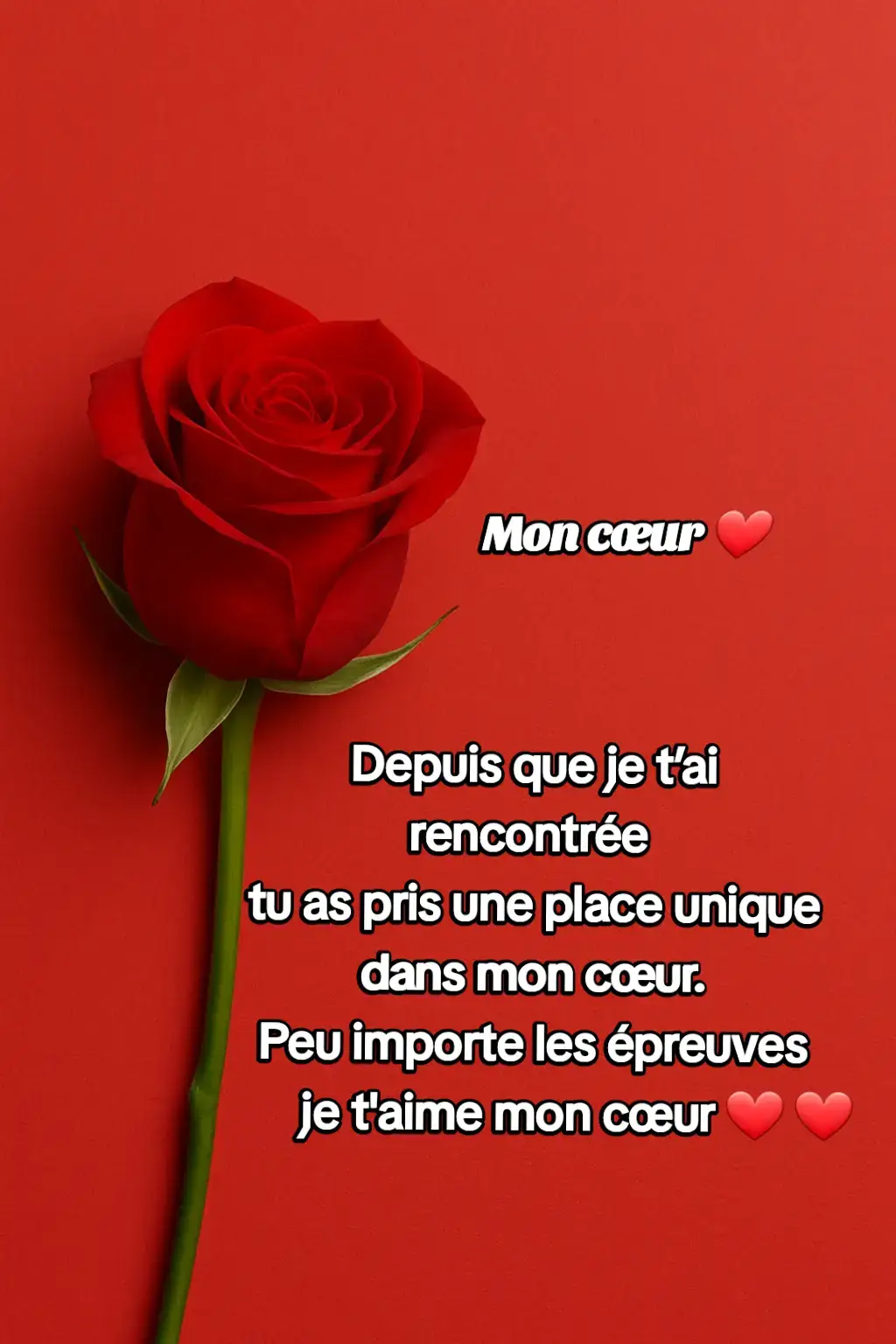 Ma belle princesse 🌹🙏🇫🇷 Je t'aime à l'infini #amourinfini #loveyou #lovestory #lover #loveyourself