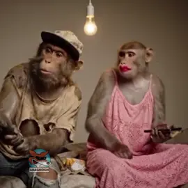 #funnyvideos😂 #morocco🇲🇦 #tamazight 