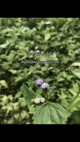 🤍#แท็กแฟนมาดู💏👫 #เธรดคลั่งรักเธอ🧸💘 #ยืมลงสตอรี่ได้ #fyp #ฟีด 