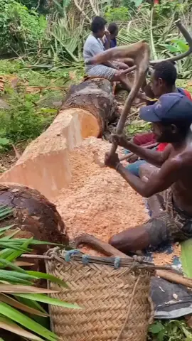 Do you make sago from palm trees?#fyp #tiktok #foryou #viral #funny #trivia