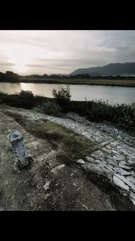 “我害怕有一天现实会饿得把所有的梦想都‘吃掉’……” 