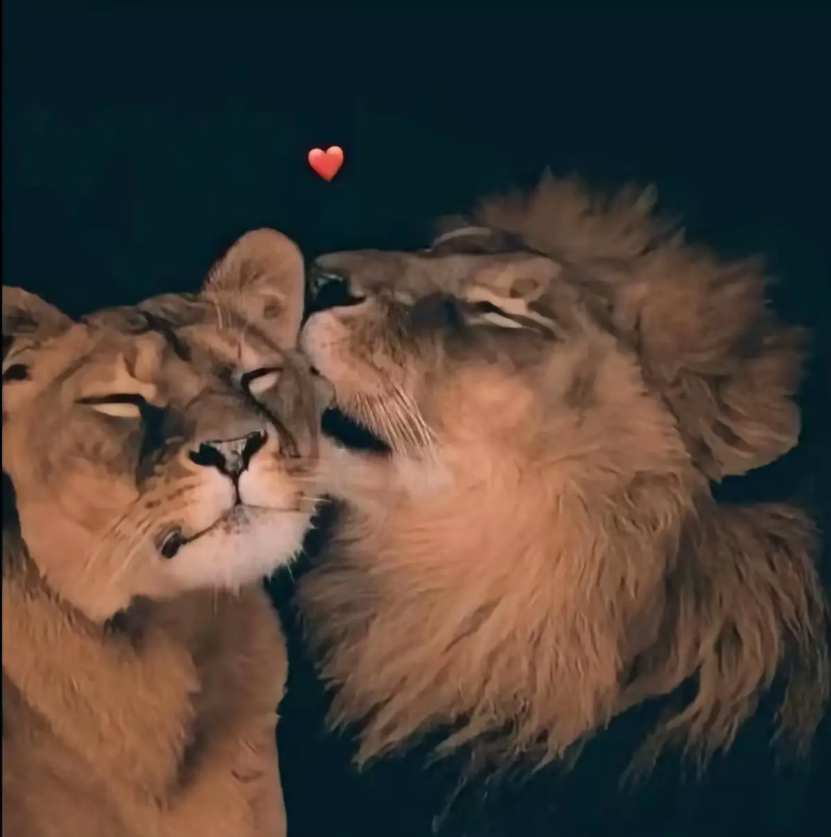 #onerealove 