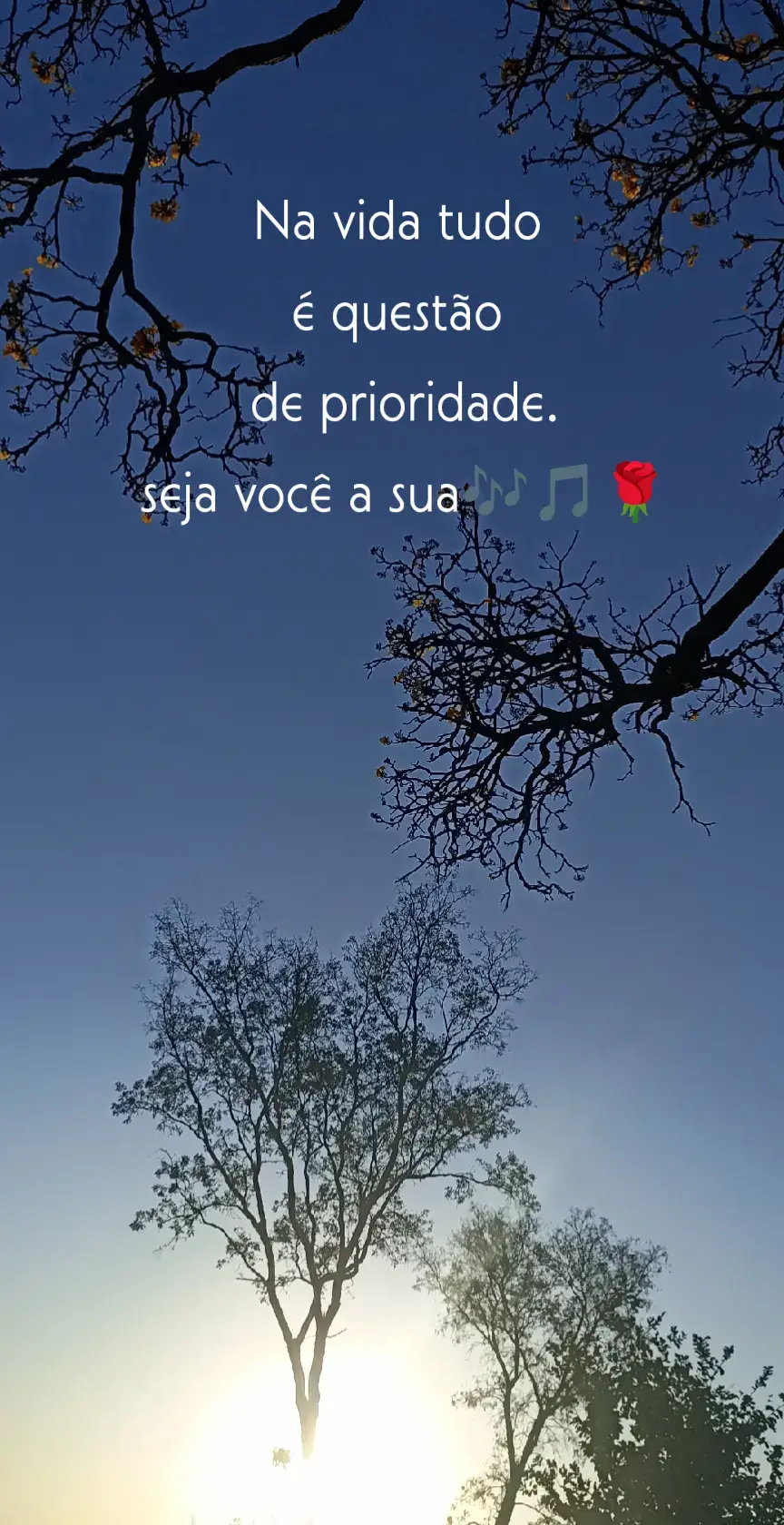 #marilhamendonça #fyppppppppppppppppppppppp #fy 