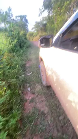 #videoviral 😍