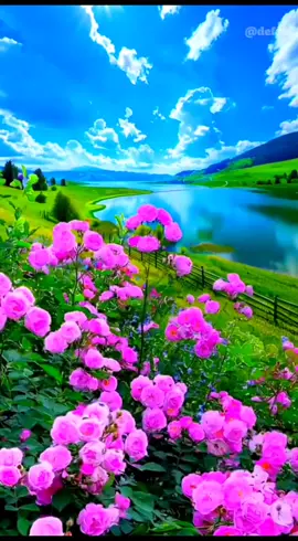 pemandangan alam yang indah #alamyangindah #keindahanalam #pemandanganindah #nature #videonature 