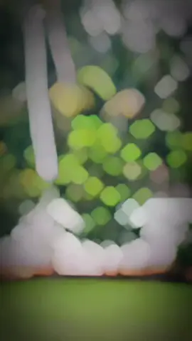 #newvideos #foryoupage👁️‍🗨️👁️‍🗨️🍂💸 #saport_me #fppppppppppppppppppp #videoviral #💸💸💸🤡 #hair #1000kviews1000klikes #1million @𝐌𝐫. 𝗔𝗕𝗗🫀®️ @S  H  I  M  A  R   🇵🇸 @𝘼𝙍𝙃𝘼𝙈 𝗝𝗿. 👻🍒 