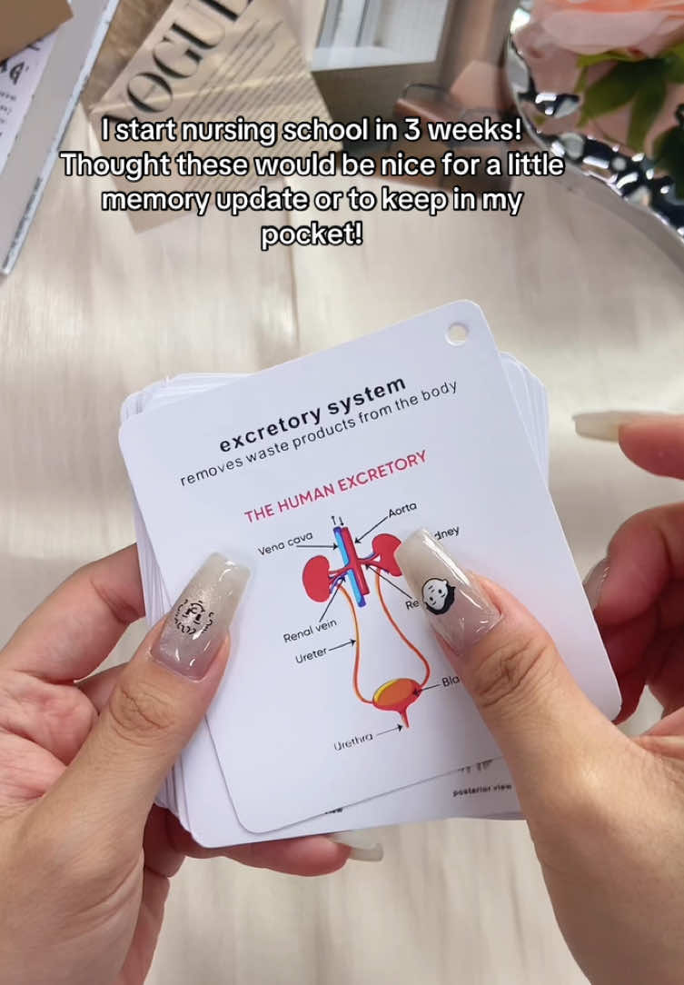 For a little memory refresh! Or just to have and to hold in your pocket! #nursingstudent #nursing #nursingschool #anatomy #nursetok #spotlightfinds #TikTokShopBackToSchool #fyppppppppppppppppppppppp 
