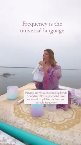 Living my dream…(I hope you all saw the baby whale in the beginning… the gray one!) Sharing songs and soul with the whales, surrounded by ocean light and the magic of our @soulstar.singing.bowls 🪽💎✨🙏🏻 This year, we brought our gemstone-imbued Abundant Blessings crystal bowl set — and the whales are even more responsive than they were last year with our pure quartz set. Their songs seem to braid themselves right into the tones, creating a shared prayer of joy and connection. 💎✨🪽 There’s no real way to describe the feeling of being so deeply held in their presence… my heart just swells with awe, tenderness, and love. It’s almost too big to hold. 💓 I’m endlessly grateful I listened to the visions of my soul and followed the call to make these dreams of singing with whales a reality. Right now, we’re recording beluga whale songs to weave into our upcoming long-form sound healing journeys. These new creations will feature a sacred blend of whale frequencies, crystal bowls, and soul voice — available soon through our website at soulstarsoundsanctuary.com. If you want to join us on this adventure, come follow along in our stories. You’ll hear the whales’ real-time responses to the singing bowls, crystal harp, and sacred voice offerings we’re sharing with them. For a deeper look at daily life, herbal work, and sacred plants, come visit @sweet.spirit.wellness too. And if you haven’t yet heard the beluga song we recorded last year, go listen to Northern Reflections at soulstarsoundsanctuary.com. It’s part of a huge sound healing library available for purchase, download, and streaming. Every purchase directly supports us in creating more whale-infused transmissions and crystalline sound journeys. Thank you for being here. Thank you for listening. With love and luminous gratitude, Demetra 💓💎🪽