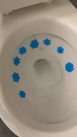 Cleaning the toiler has never been easier. #toiletcleaner #bathroomessentials #homeessential #homeessentials #cleaningproducts #cleaninghack #cleaningtok 