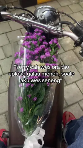 #udinsakithat1 