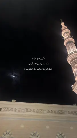 فيني زعل من قوته  ‏أحس الهدوء  ‏« مستحلني »#اكسبلورexplore #fyp #foryou #هواجيس_الصباح #تصويري📸 