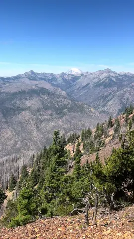 I’m standing at the site of Timberwolf fire lookout (elevation 6391 ft). The lookout was removed in 1975.  The last fire burned this area of Timberwolf Mountain and Bethal Ridge in 2024.  #pnwphotographer #getoutside #exploremore 