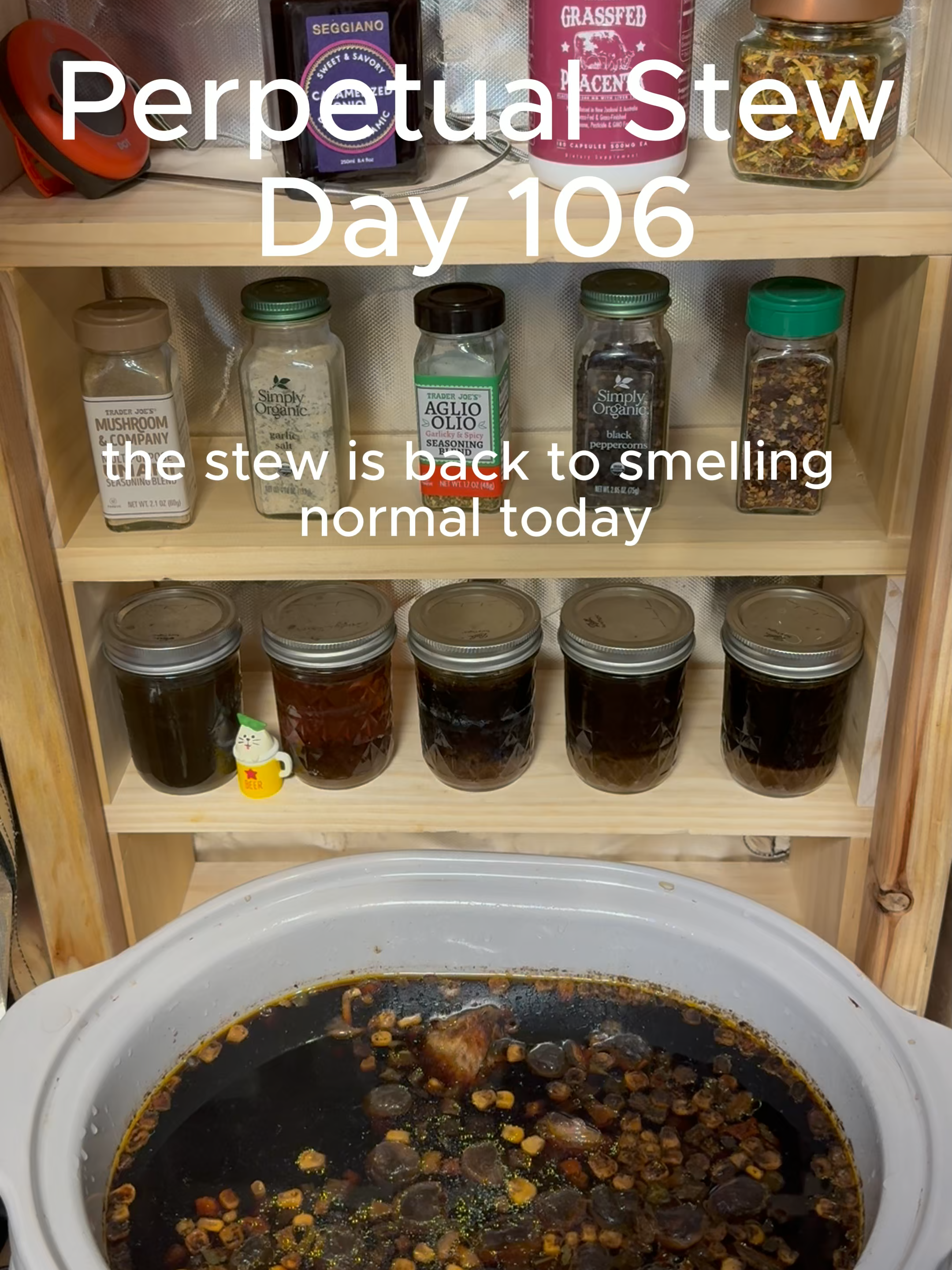 #perpetualstew #soup #stew #lazycooking #FoodTok