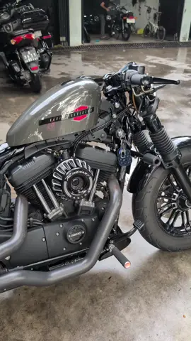 Cold Start Harley Davidson 48 Sportster 2019