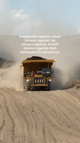 #pesonatambang #tambangkalimantan #kulitambang #fypシ゚ 